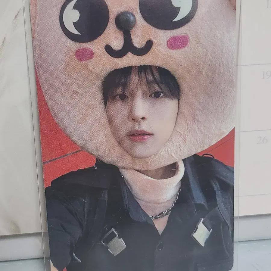 Почтовый магазин Ski s Seungmin Почтовый магазин Ski Zoo Foca